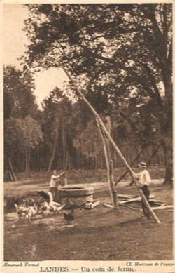 Carte Postale (40) Landes