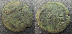 Volques Arécomiques (région de Nimes) Bronze au Démos