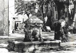 Var - Cotignac