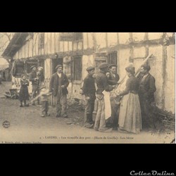 Carte Postale (40) Landes Leu tüouaille dou porc