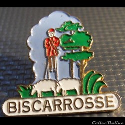 Pin's (40) Biscarosse