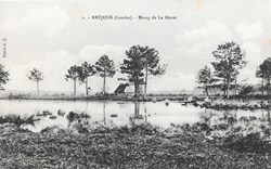 Carte Postale (40) Retjons