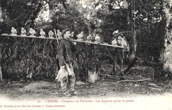 Carte Postale (40) Landes