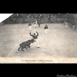 Carte Postale (40) Landes