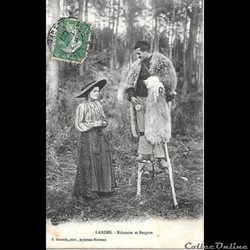 Carte Postale (40) Landes