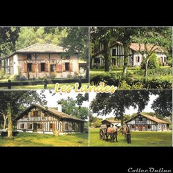 Carte Postale (40) Landes