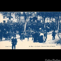 Carte Postale (40) Dax Le Foirail