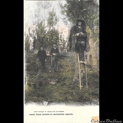 Carte Postale (40) Landes