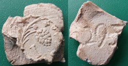 Plomb de tissus