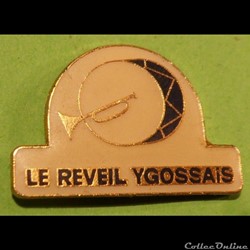 Pin's (40) Ygos Saint Saturnin