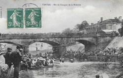 Carte Postale (40) Tartas