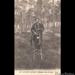 Carte Postale (40) Landes