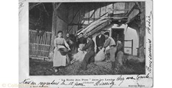 Carte Postale (40) "La Heste dou Porc" dans les Landes L'exécution