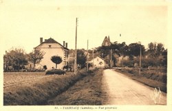 Carte Postale (40) Trensacq