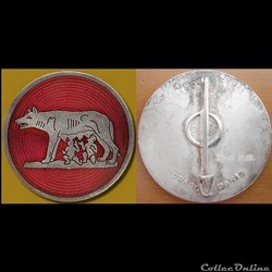 Insigne Armée de l'Air Mont de Marsan