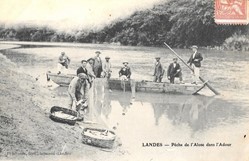 Carte Postale (40) Landes