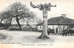 Carte Postale (40) Trensacq