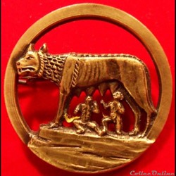 Insigne Armée de l'Air Mont de Marsan