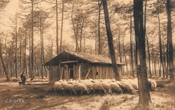 Carte Postale (40) Landes