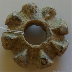 Fusaïole 4