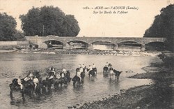 Carte Postale (40) Aire sur Adour