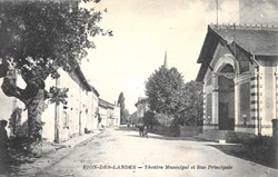 Carte Postale (40) Rion-des-Landes