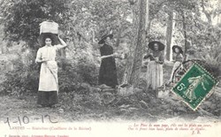 Carte Postale (40) Landes