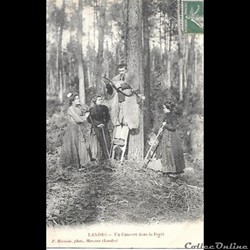 Carte Postale (40) Landes
