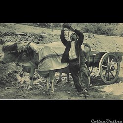 Carte Postale (40) Landes