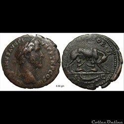 A81 Antonin le Pieux 138-161