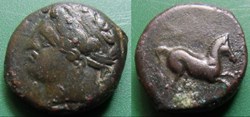 Zeugitanie-Carthage Unité