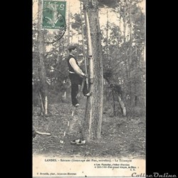 Carte Postale (40) Landes