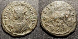 C23 Probus 276-282