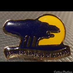 Pin's (40) Saint Sever