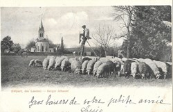 Carte Postale (40) Landes