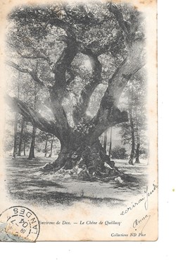 Carte Postale (40) Dax