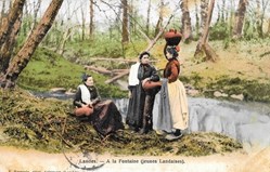Carte Postale (40) Landes