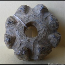 Fusaïole 1