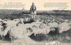 Carte Postale (40) Landes