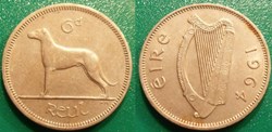 6 Pingin 1964