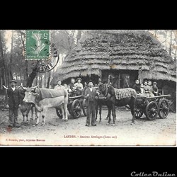 Carte Postale (40) Landes