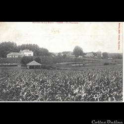 Carte Postale (40) Tosse