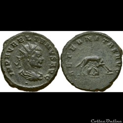 C12 Aurelien 270-275