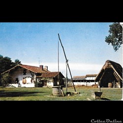 Carte Postale Moderne(40) Landes