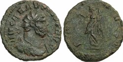 Carausius