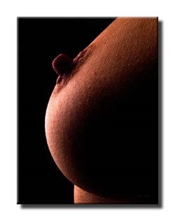_C011155_4060