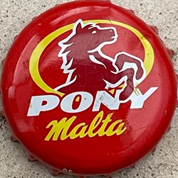 Pony