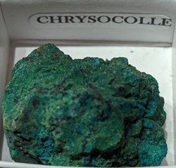 Chrysocolle