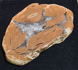 Rhyolithe