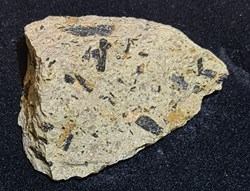 Hornblende